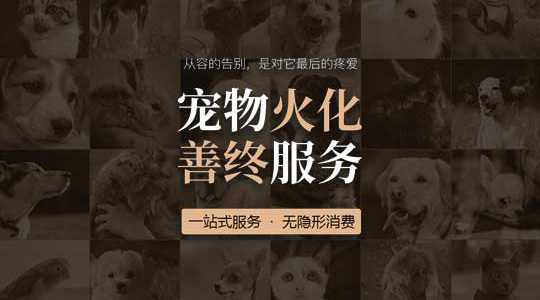 宠物火化殡葬善终服务中心