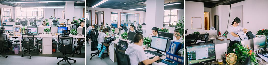 百情宠物办公室场景