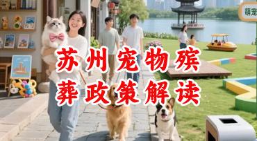 苏州宠物遗体无害化处理：现行法规与属地政策一览